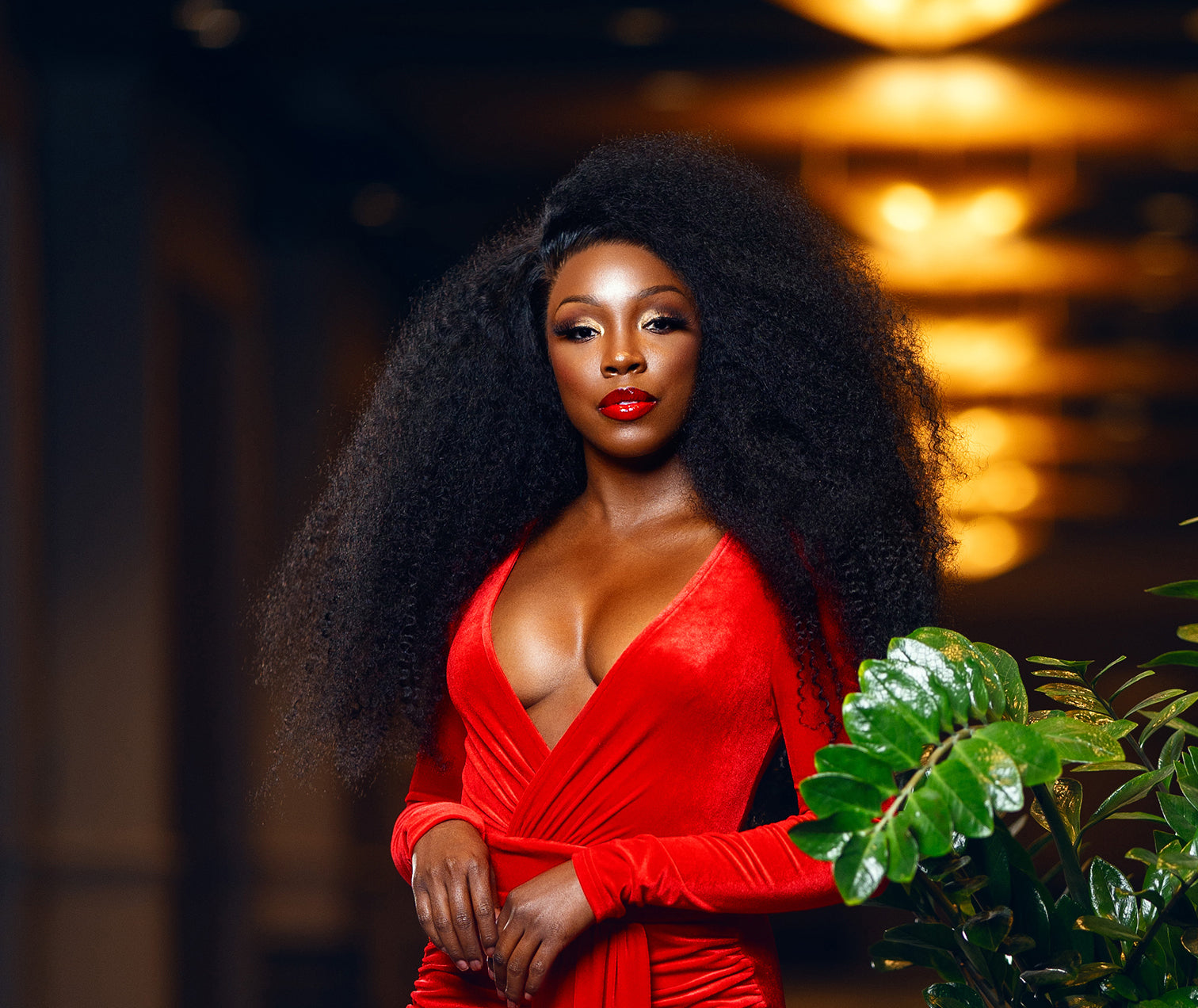 Signature Collection